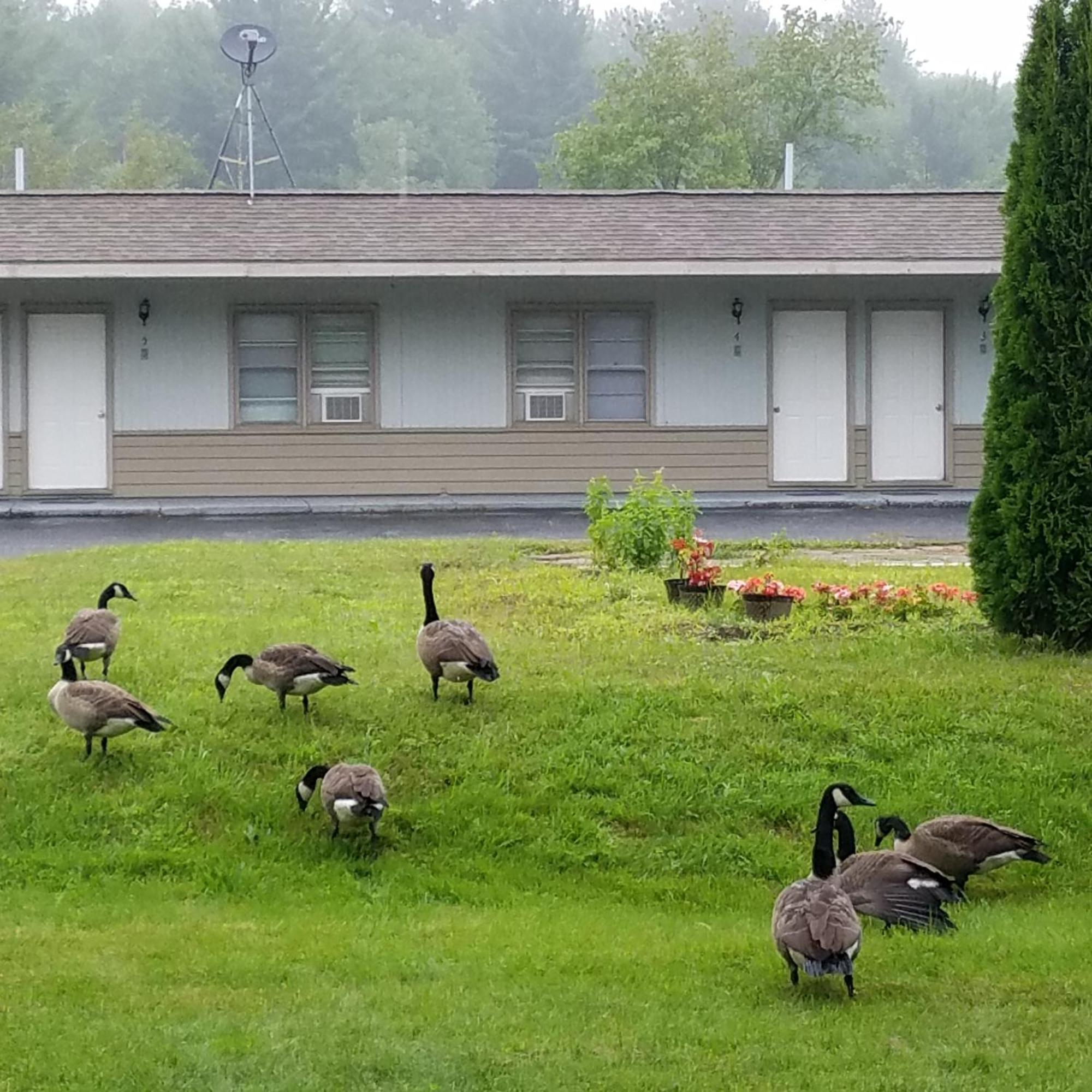 The Becket Motel Luaran gambar